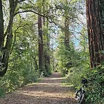 Nel Bosco In Toscana Con Vasca Esclusiva Chalet *