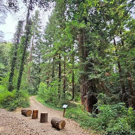 Nel Bosco In Toscana Con Vasca Esclusiva Ruota